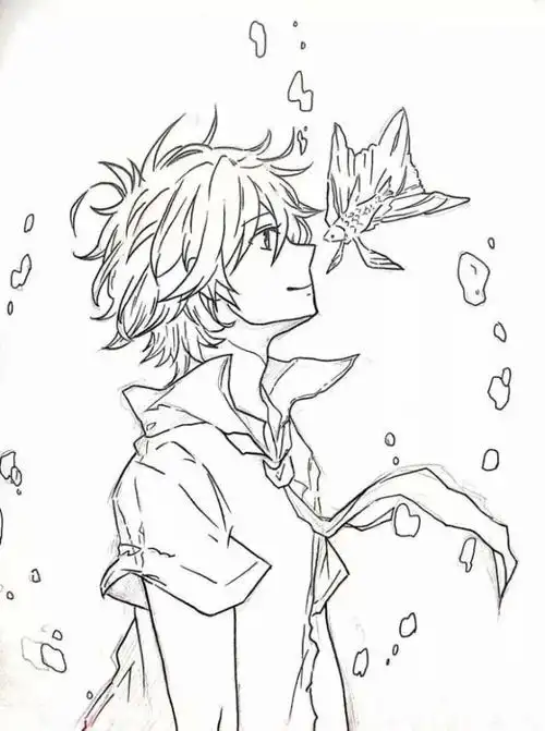 插画丨绘画丨手绘动漫线稿素描-王氏教育集团