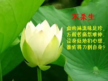 杀生与健康不可分割的关系