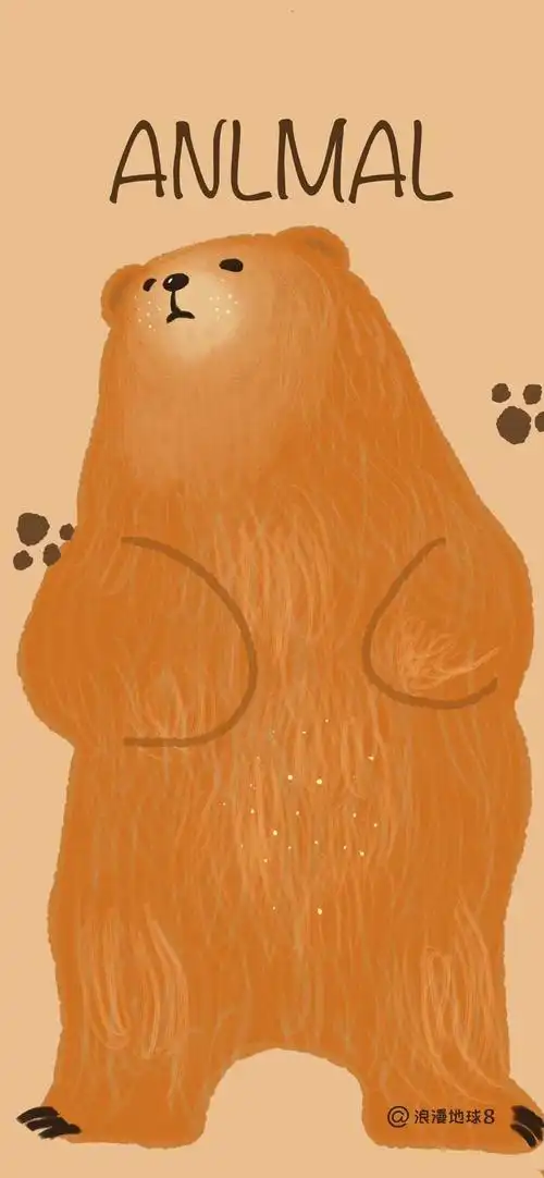 熊- - 堆糖,美图壁纸兴趣社区