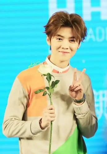 呆萌傻狍子 鹿晗 luhan #壁纸 #头像
