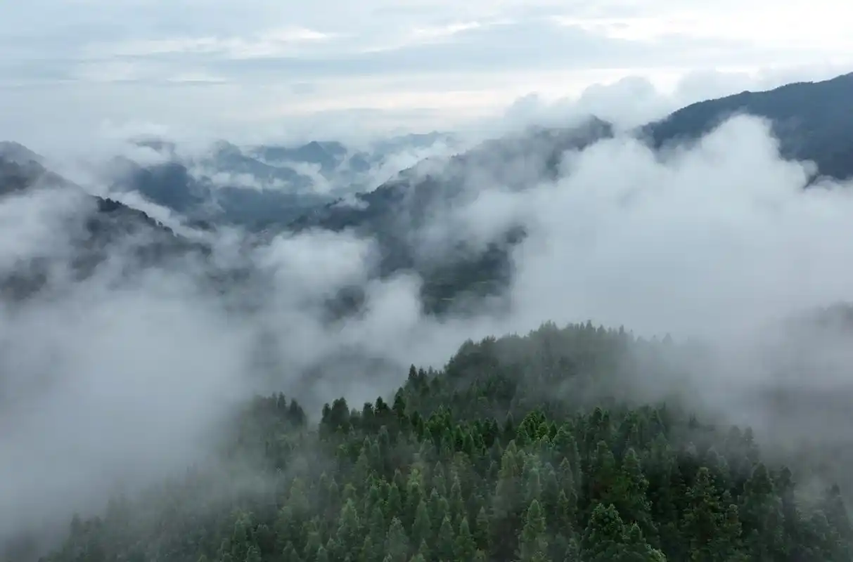 空中看丹寨|雨后山乡云雾缭绕 风景美如画