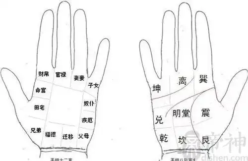 而如果手相子女线弯曲或斜而乱,代表子女从小体质衰弱,常常会感染