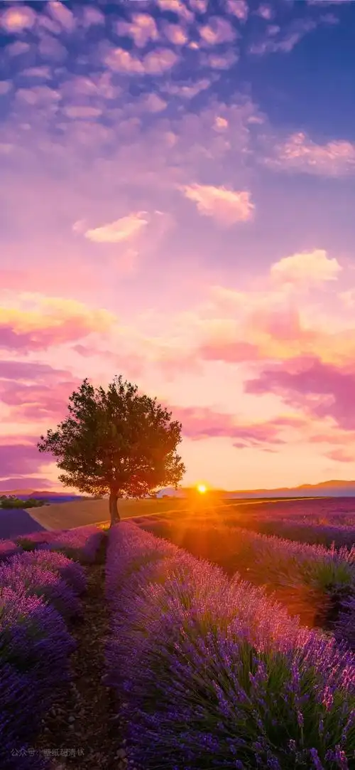 1300_2814竖版 竖屏