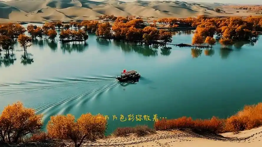 视觉盛宴唯美意境秋日私语美景如画