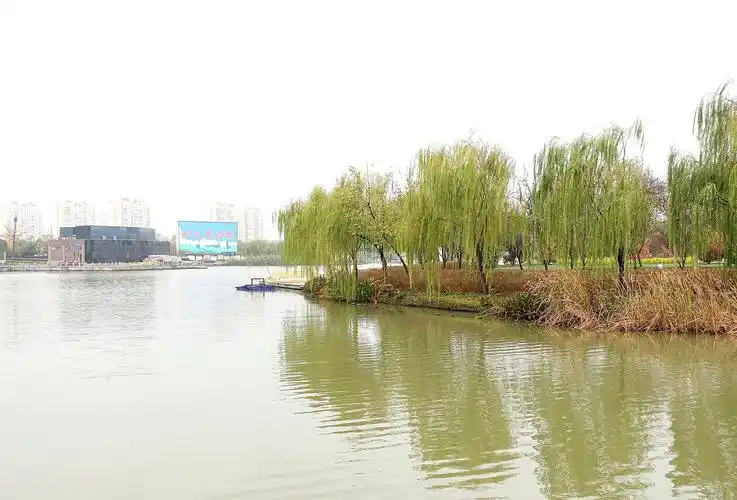 p>白天鹅公园在 a target="_blank" href="/item/阜宁/871643" data