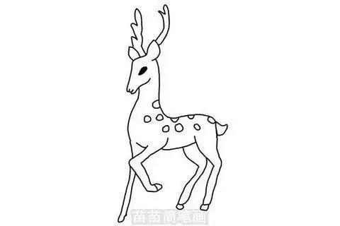 梅花鹿简笔画怎么画简单又漂亮