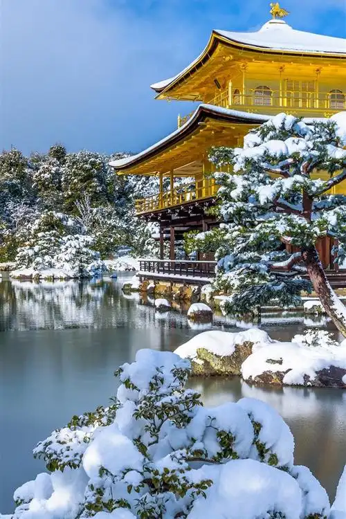 640_960竖版 竖屏