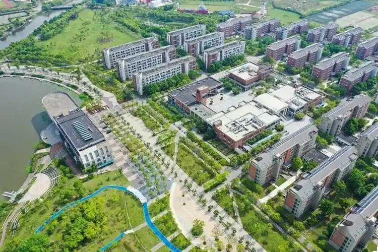 如诗如画航拍镜头下的夏日海大