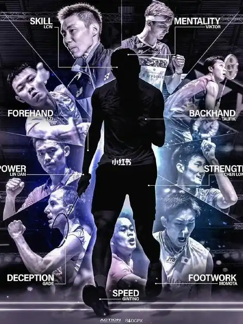 一个完美羽毛球男单的组成91林丹-力量李宗伟-技术盖德-假动作谌龙