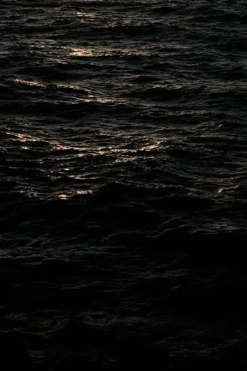 是日天朗气清我选择躺下