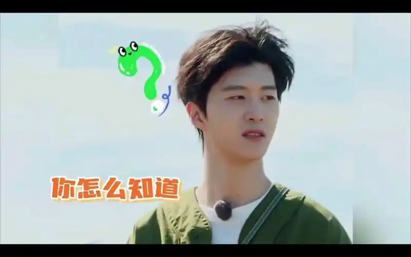 范丞丞综艺名场面