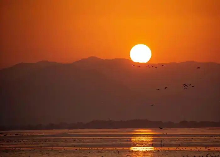初升的太阳,飞鸟,金灿灿的海水,层叠的远山等构成一幅深圳湾日出的