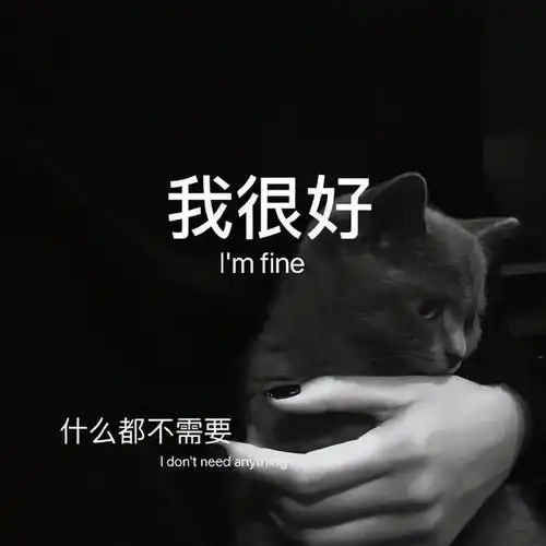 抖音热门文案背景图抖音最火2020背景图片带字