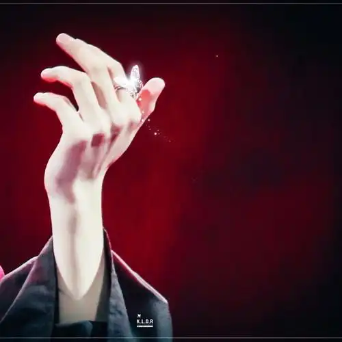 贺峻霖的手太好看了