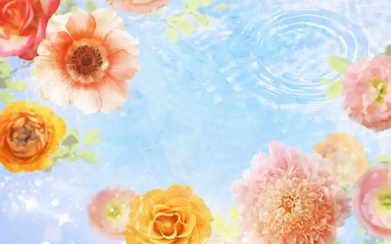 设计常用的花朵高清背景图片ps素材32p