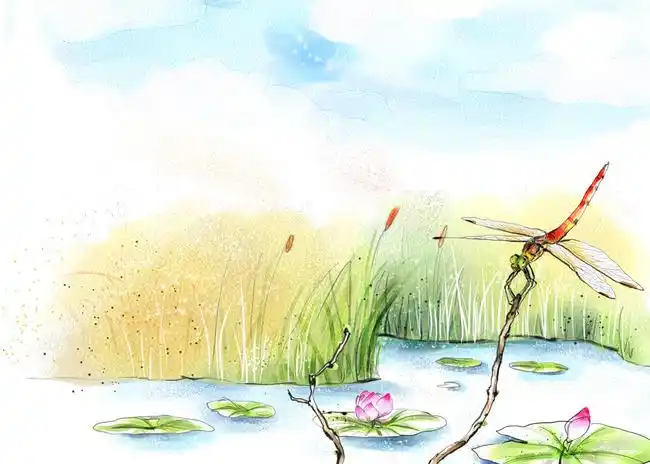 无现代唯美清新抽象小荷尖尖蜻蜓点水背景图