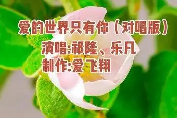 祁隆 乐凡 爱的世界只有你_百度视频搜索