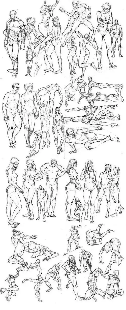 速写教学人体结构干货收藏