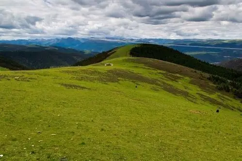 川西环游之高寒草原