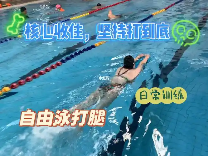 自由泳打腿练习