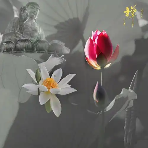 六月荷···花开见佛