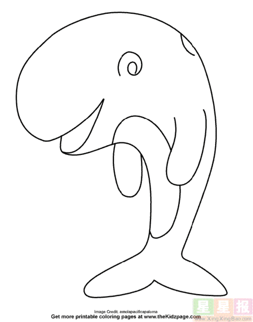 大白鲨简笔画海洋动物鲨鱼的简笔画画法教程幽灵鲨简笔画怎么画简笔画