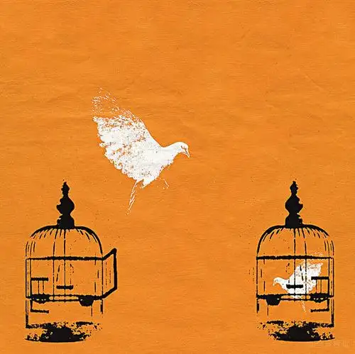 鸽子_鸟笼_鸟_受困_图片大全—全景创意图库(quanjing.