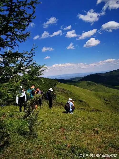 岚县饮马池高山草甸虽然是小众景点但风景不输windows桌面背景
