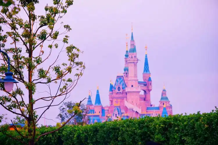 远近迪士尼乐园城堡