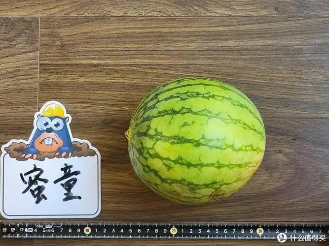 一天吃了九个品种的西瓜,只为找到传说中的梦中情瓜,到底硒砂瓜还是