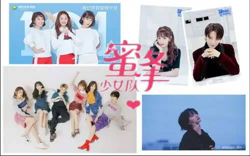 蜜蜂少女队究竟是个什么样的女团前队员的全网最官方全面科普ladybees