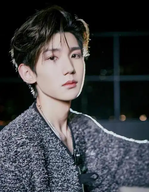 网易首页>网易号>正文申请入驻> 而王源则在音乐和综艺节目中发展得