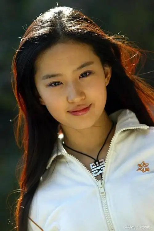 流金岁月,你快乐所以我快乐