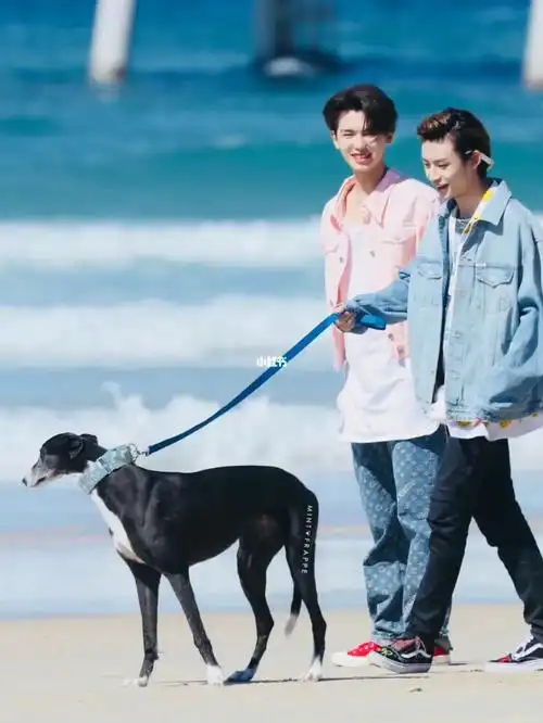 黄明昊小鬼王琳凯