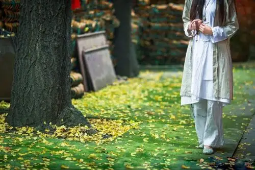 是谁在菩提树下,一季又一季细数着轮回 文 迷人的菊儿 编辑 白石秋水