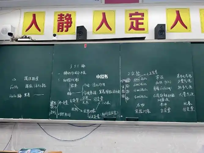 高中生物板书51酶的作用与本质