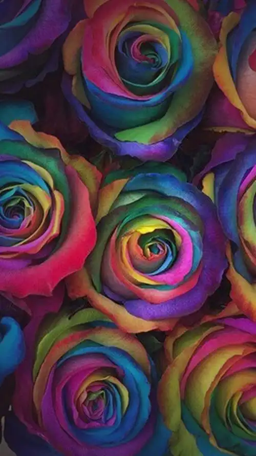 千库网浪漫五彩花彩色h5背景素材