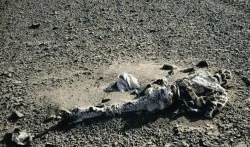 罗布泊之咒,罗布泊的诡异事件