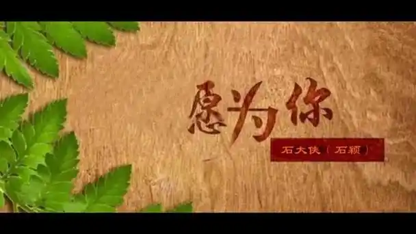 倾一世温柔 暖一场相遇 茫茫人海中遇见就是缘分 《愿为你》石大侠