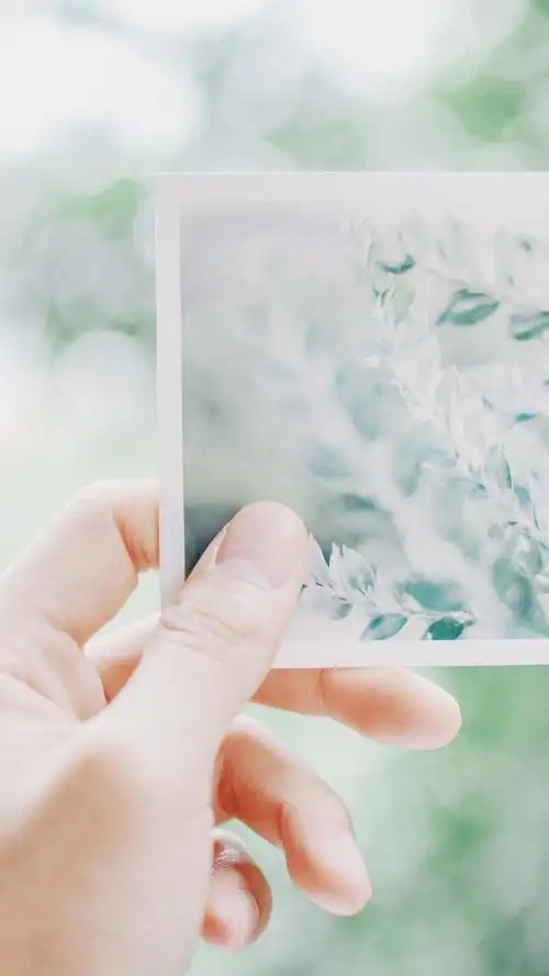 小清新唯美高清手机壁纸图片