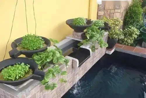 16吨小院鱼池,阶梯式瀑布植物水道,独门独院真羡慕!