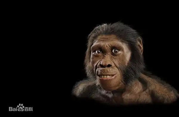 p>猿人被认为是 a href="#" data-lemmaid="31910">人类 /a>的直接 a