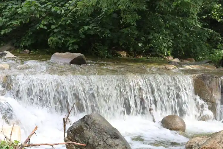 水平有限,拍几张照片请亲朋好友欣赏!