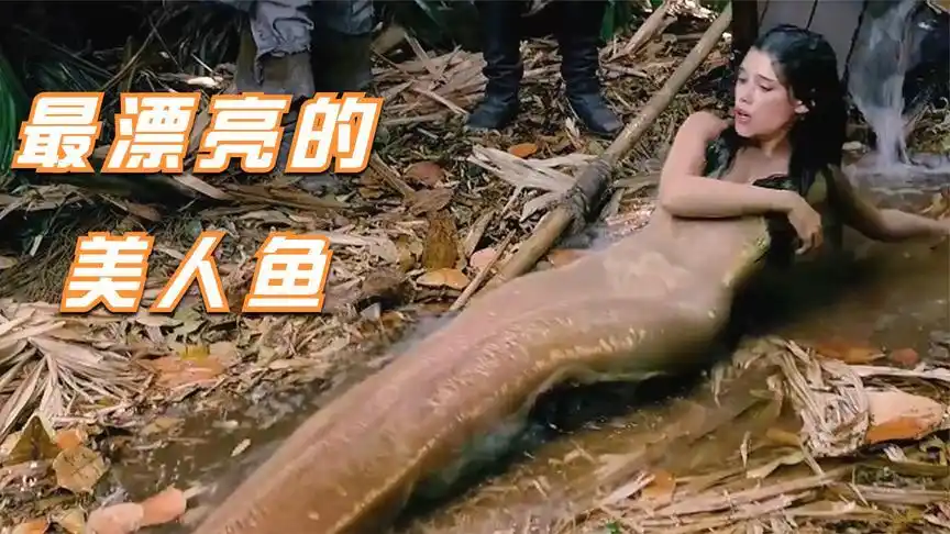 盘点六部影视中的美人鱼,你觉得谁最漂亮