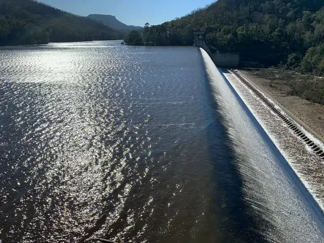 新洲水坝tallowadam