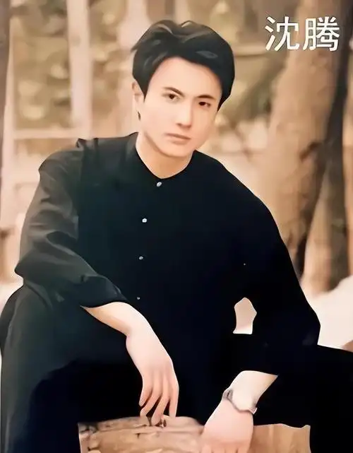沈腾年轻时的帅气,那可不是盖的.刚开始,沈腾的