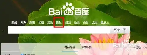 【识图】怎样查找图片的来源出处