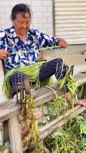 记录生活#打苎麻八九十年代最盛行,你做过吗?