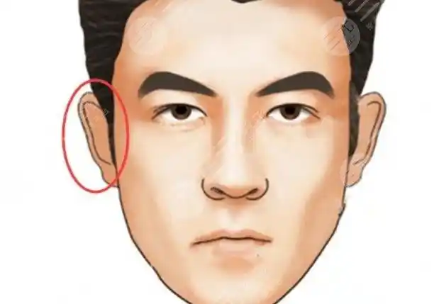 三种有福的耳朵图片大全你的耳朵有福无福一看便知