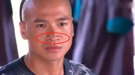 鼻子作为脸部的门面担当,自然是十分重要.